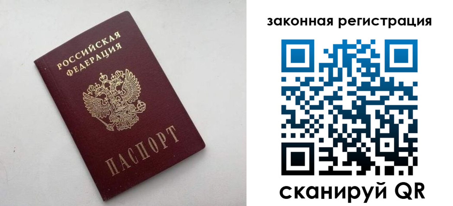 прописка 2025 в Мурманской области